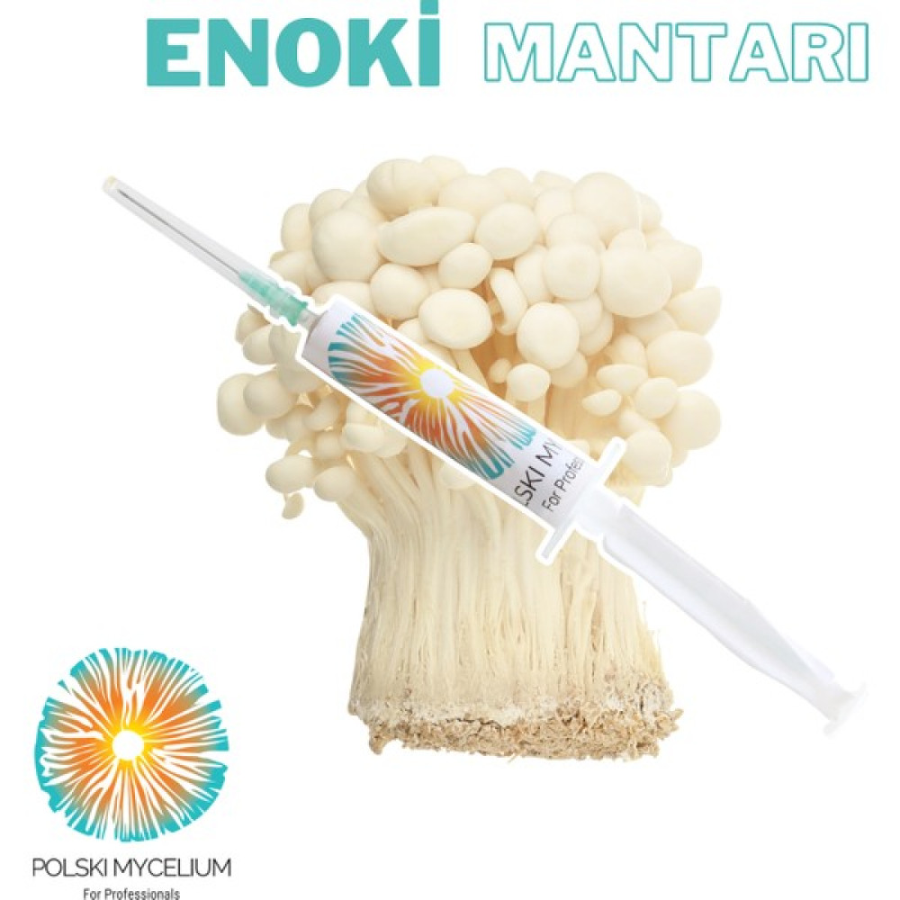 Polski Mycelium Enoki Mantarı Sıvı Miseli (Tohumu) 5 Ml, Misel ve Kompost Üretmek İçin Ana Kültür - 1 Adet Tohum Fiyatı