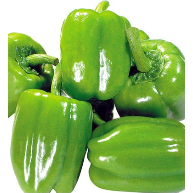 Portakal Çiçeği Dolma (Kandil) Biber Tohumu (%100 Yerli) 30 Adet - 1 Adet Tohum Fiyatı