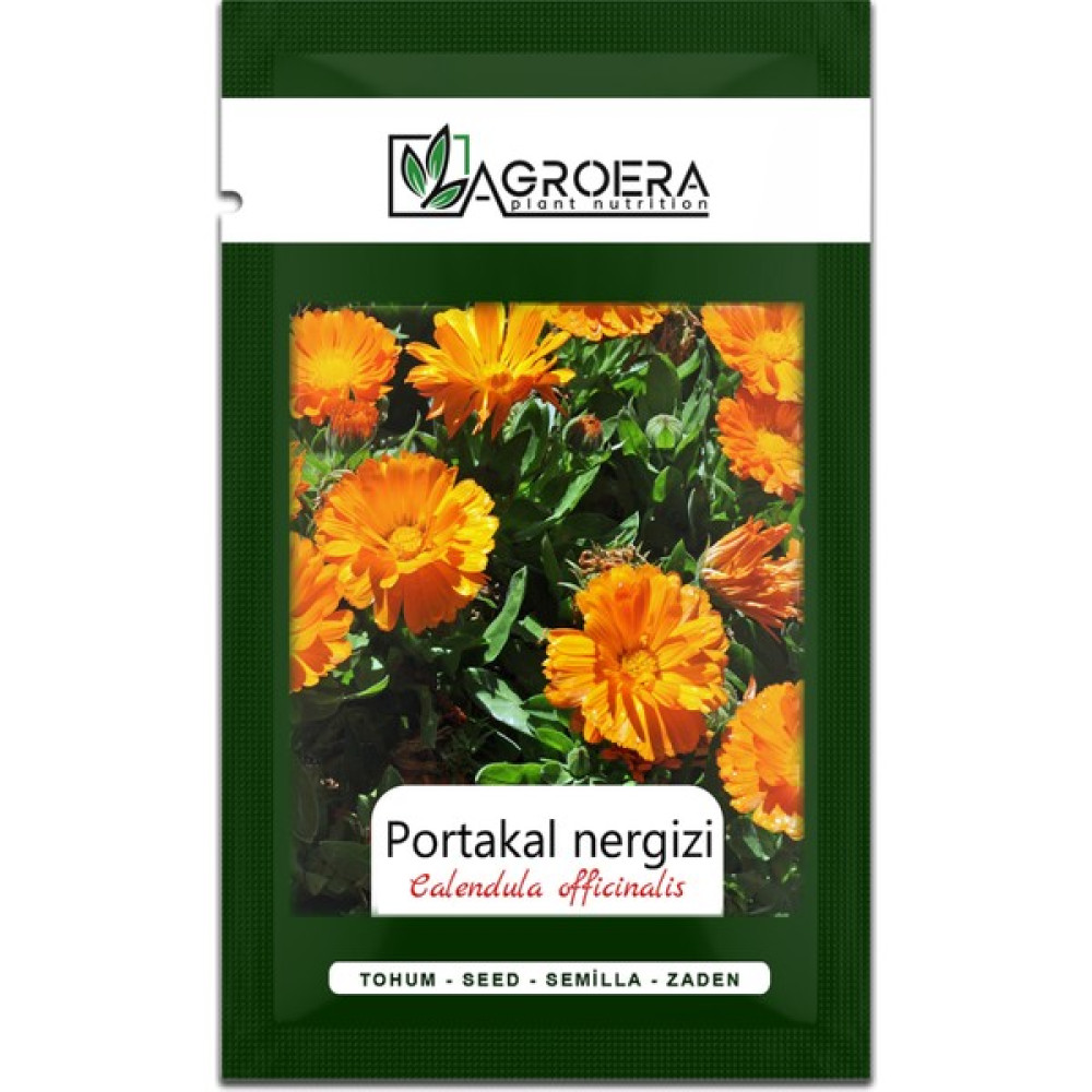 Portakal Nergisi - Aynı Sefa (Calendula Officinalis) Çiçek Tohumu 100 Adet - 1 Adet Tohum Fiyatı
