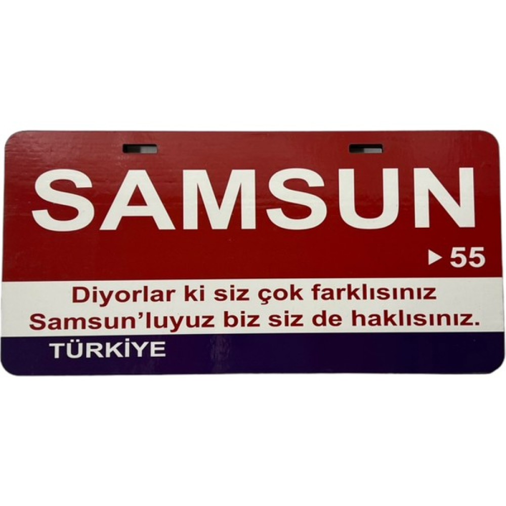 Poster Sepeti 55 Plaka Numaralı Samsun Ili 15X30 cm Ahşap Poster - 0,3x15x30 Poster Fiyatı