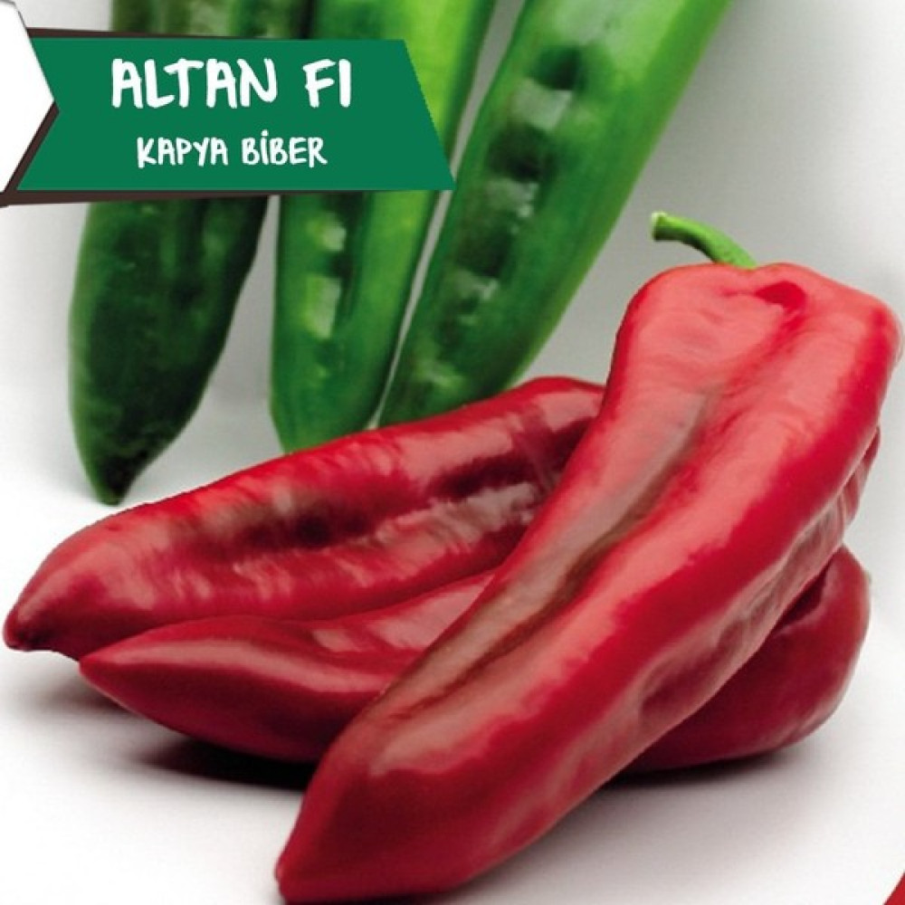 Pozitif Tohum Altan F1 - Kapya Biber Tohumu - 1000 Adet Tohum Fiyatı
