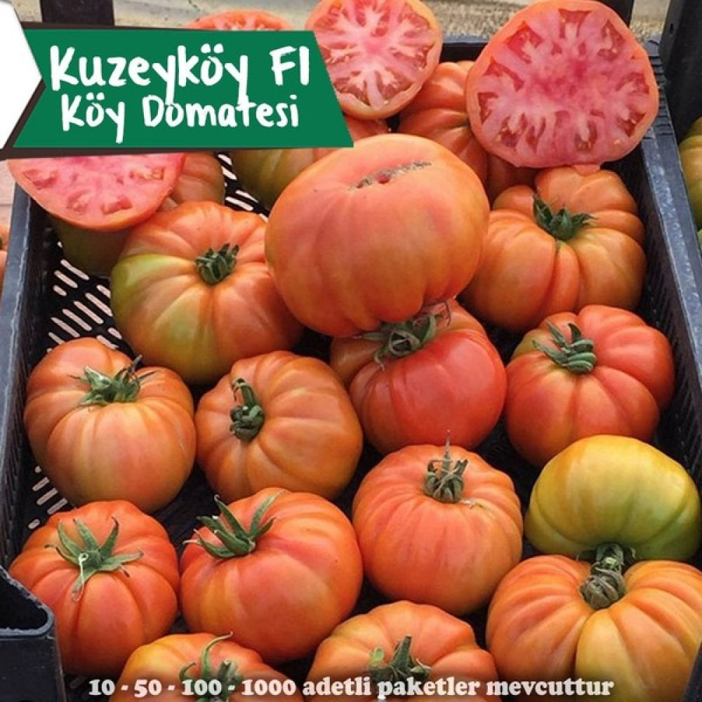 Pozitif Tohum Kuzeyköy F1 - Köy Domatesi Tohumu - 1000 Adet Tohum Fiyatı