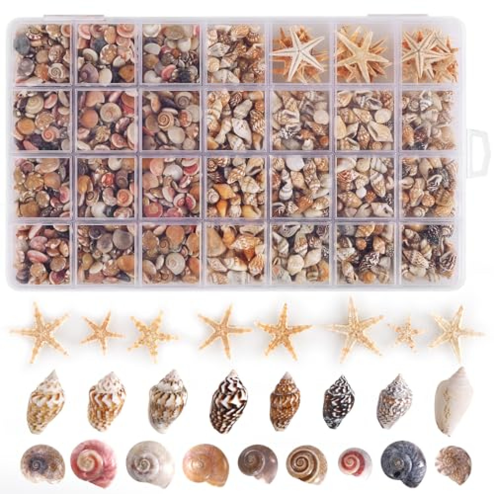 PPCLION 60pcs Tiny Starfish 1800 Pcs Tiny Mini Small Sea Shells for Crafting Spiral Conch Shells for Crafts Charms for Home Decorations Candle Decor DIY Fish Tank and Beach Vase Filler