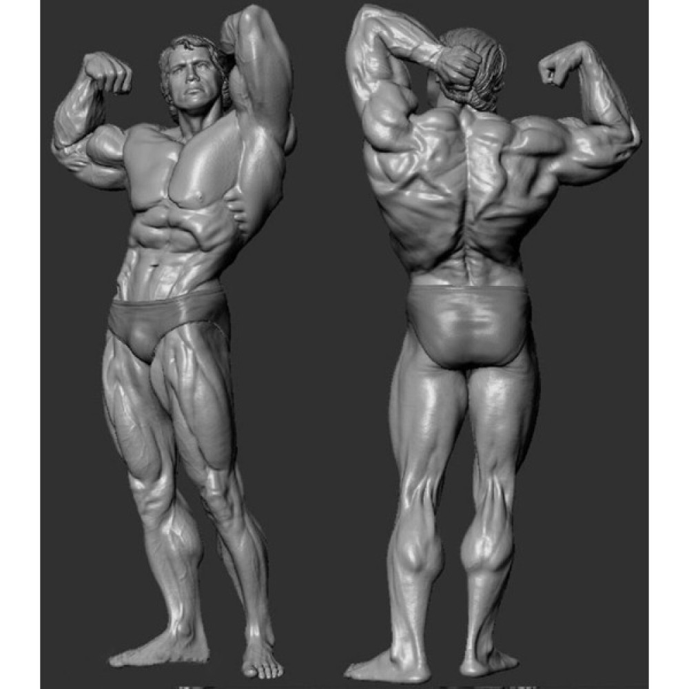 Primico Arnold Bodybuılder Figürü 25CM Oto Boyaları Fiyatı