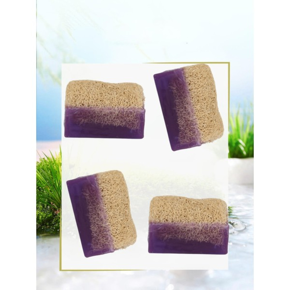 Prolific El Yapımı Doğal Kabak Lifli Lavanta Özlü Sabun 4X130gr=(520gr) Oto Boyaları Fiyatı