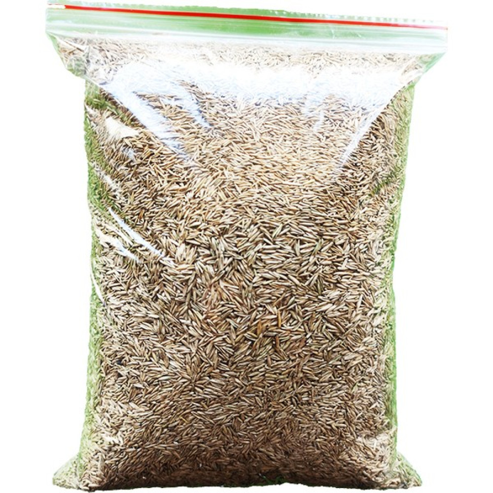 Proseed Çim Tohumu 1 kg Tohum Fiyatı