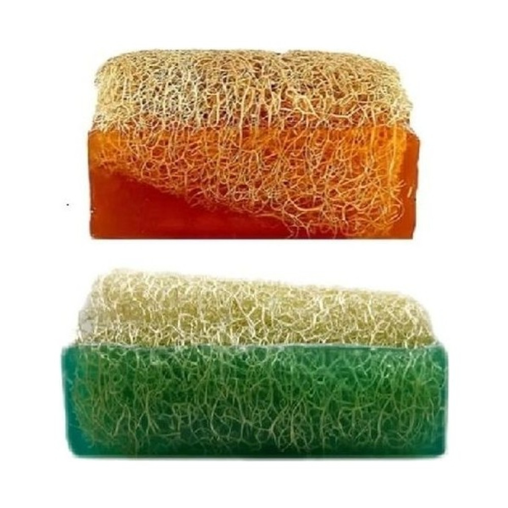 Protecsun 2'Lİ PAKET Doğal Kabak Lifli Aloe Vera Sabunu ve Doğal Kabak Lifli Bal & Sütlü Sabun 2'li Paket Oto Boyaları Fiyatı