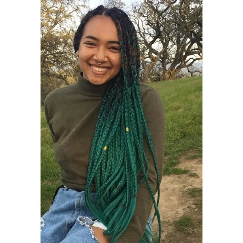 PRVT Yeşil Siyah İki Renk Ombreli Afrika Zenci Örgüsü Box Braid Sentetik Saç 60 cm 100 gr Oto Boyaları Fiyatı