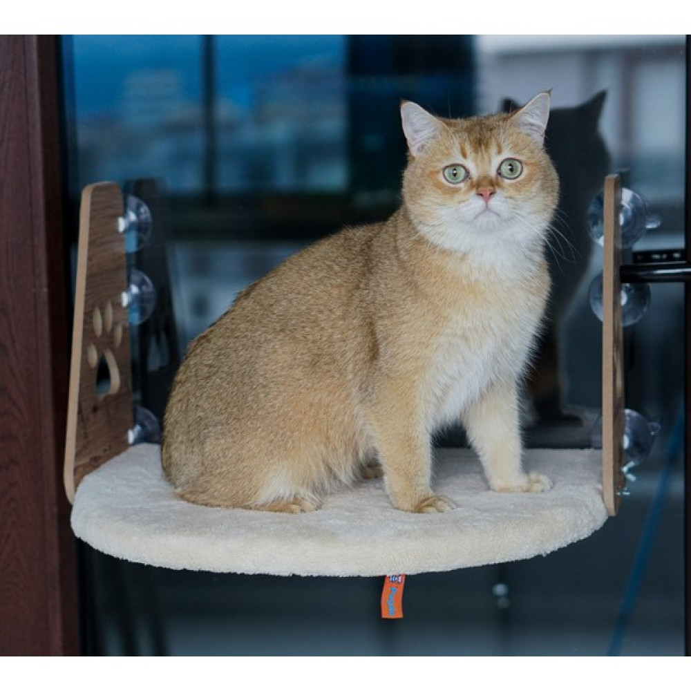 Pugalo Cam Yatağı Vantuzlu Kedi Cam Yatağı Pugalo Vantuzlu Yatak Krem Evcil Hayvan Ürünleri Fiyatı