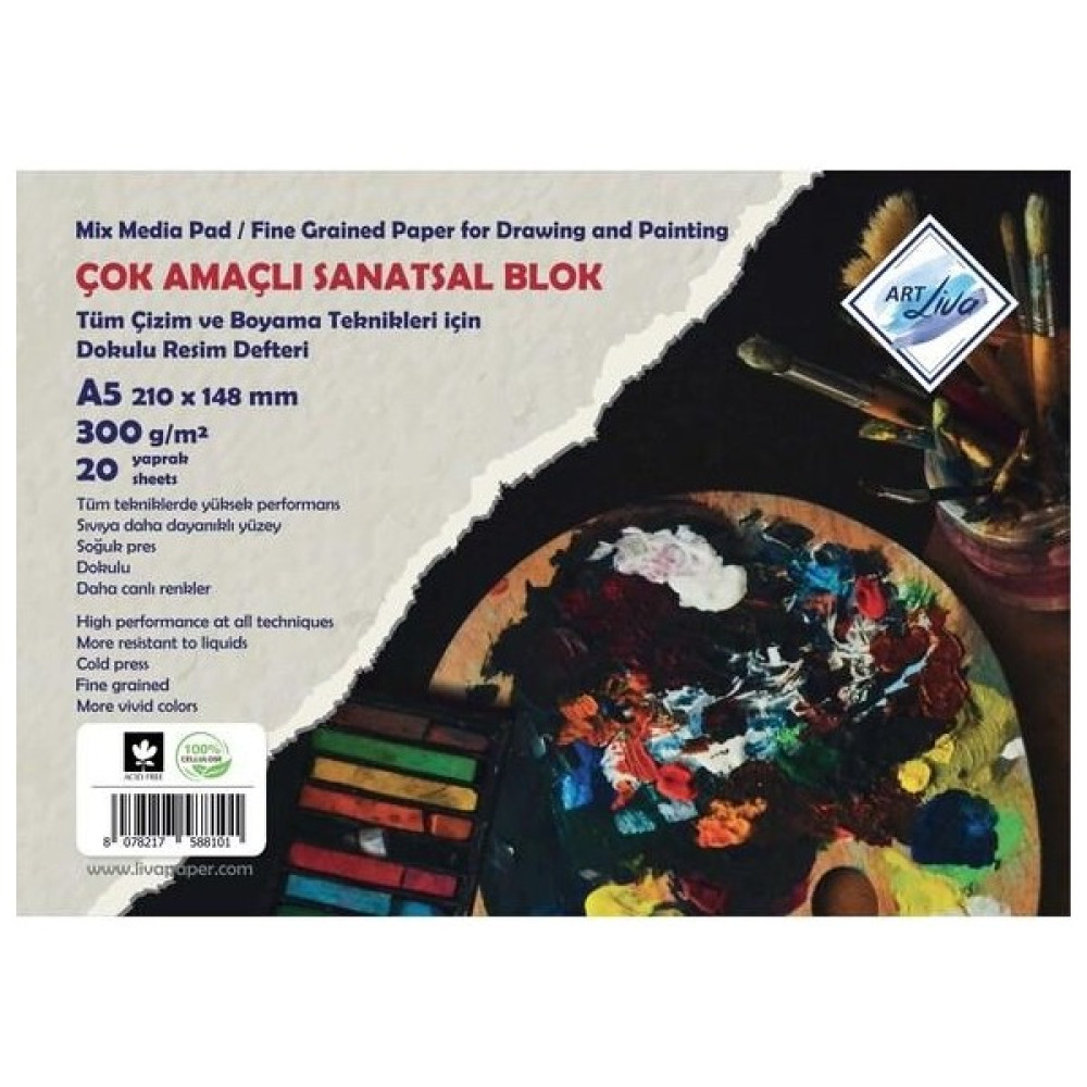 Pupil Art Liva 300 gr Sanatsal Resim Defteri A5 Sulu Teknik Dokulu 20 Yaprak - -- - Standart Resim Defteri Fiyatı