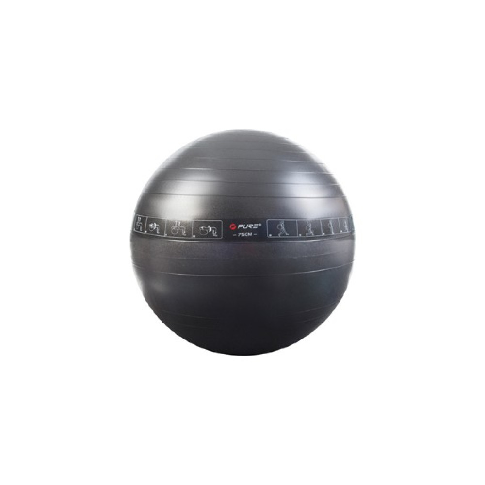Pure P2I200080 Pilates Topu 75 cm Oto Boyaları Fiyatı