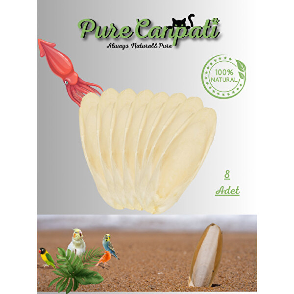 Purecanpati Kalamar Kemiği 8ADET (6-8cm) Evcil Hayvan Ürünleri Fiyatı