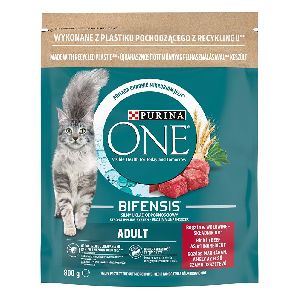 Purina One Adult Sığır Etli Kuru Kedi Maması 800 Gr Evcil Hayvan Ürünleri Fiyatı
