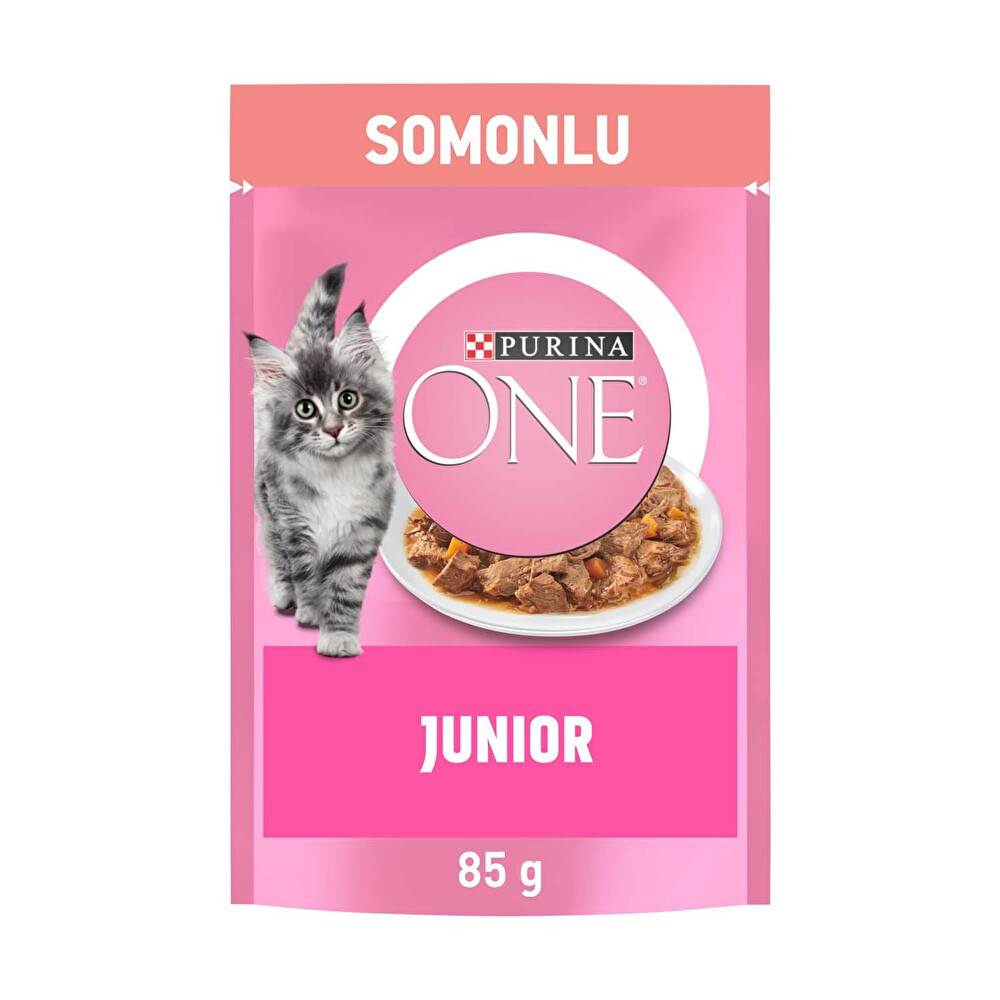 Purina One Yavru Somonlu Yaş Kedi Maması 85 g Evcil Hayvan Ürünleri Fiyatı