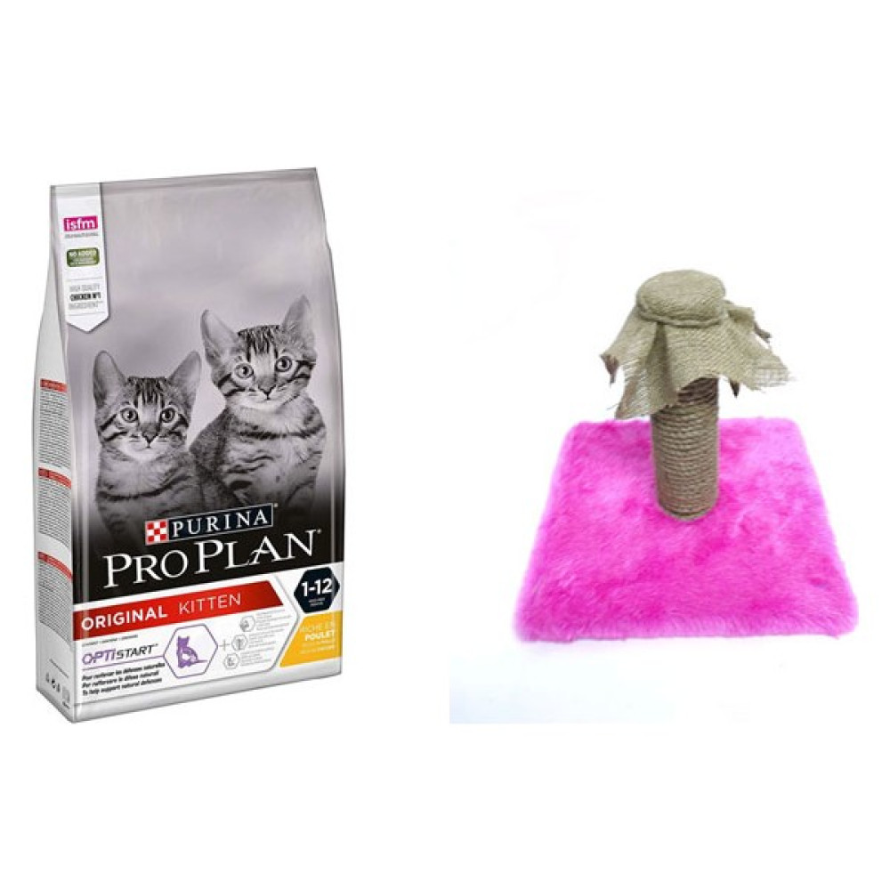 Purina Proplan 10 kg Kitten Yavru Kedi Maması & Kedi Tırmalama Evcil Hayvan Ürünleri Fiyatı