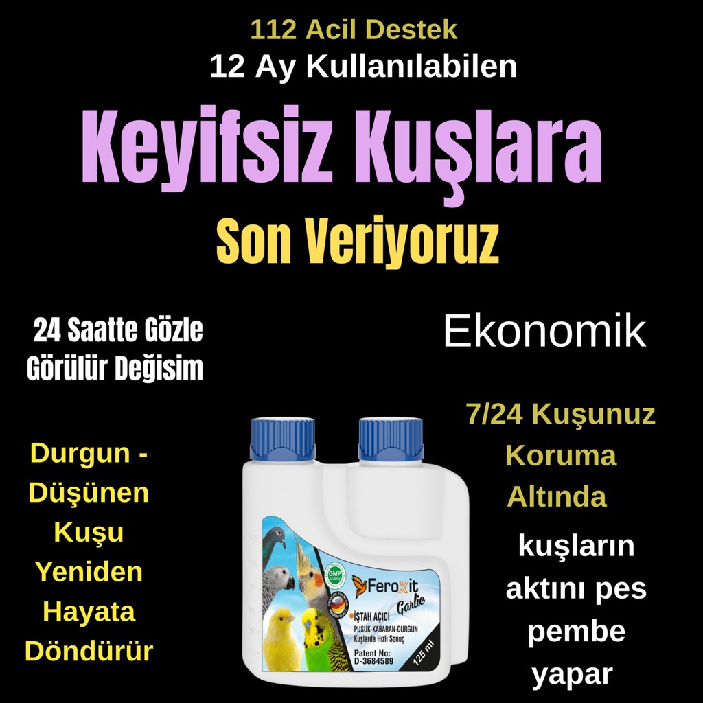 Pusuk -Kabaran -Durgun Kuşlarda Kısa Sürede Çözüm 125 ml Keyifsiz Kuşlara Çözüm SSD / Solid State Drive Fiyatı