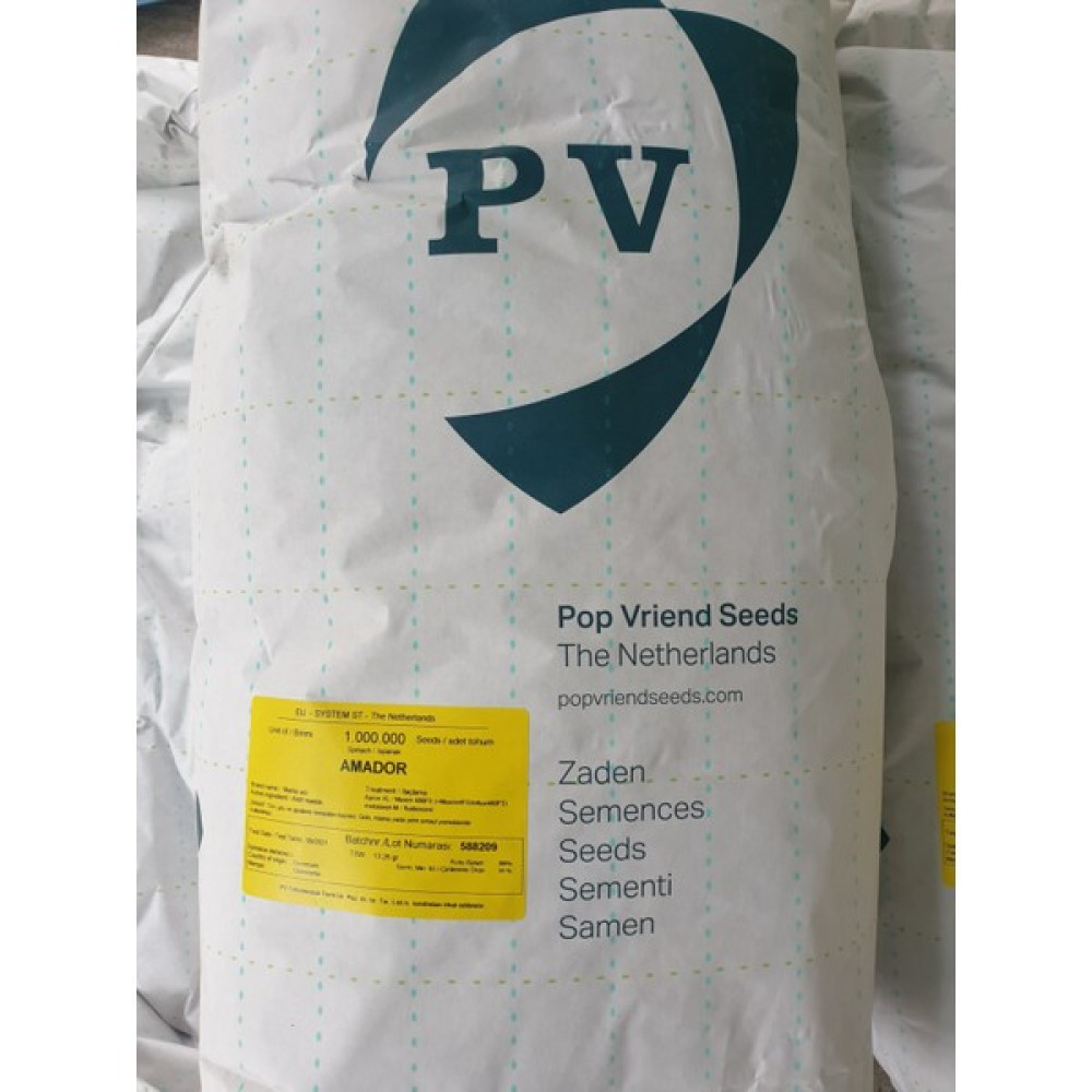 PV Amador F1 Hibrit Ispanak Tohumu 1 kg Tohum Fiyatı