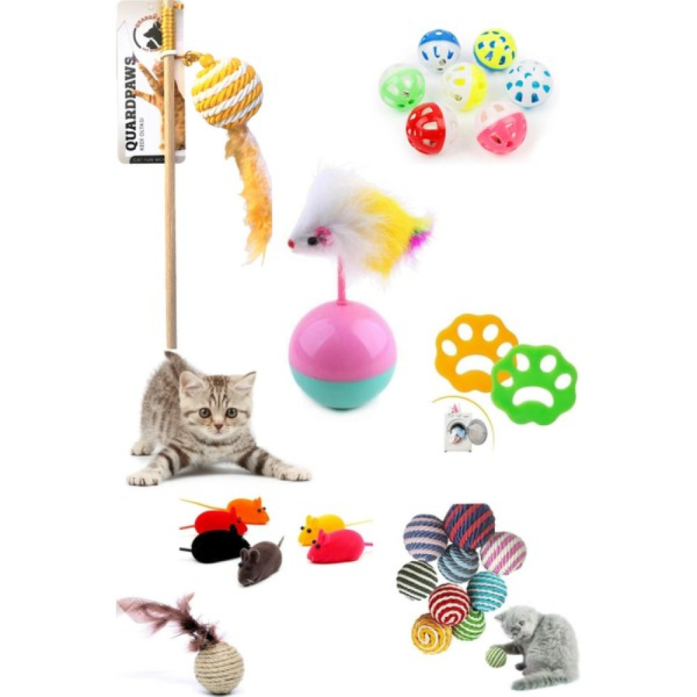 Quard Paws 9'lu Kedi Olta Seti Kedi Oltası,hacı Yatmaz,ipsarma Keditopu,hasır Top,sesli Fare,çıngıraklıtoptüytoplayıcı Evcil Hayvan Ürünleri Fiyatı