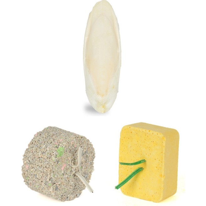Quik Enerji Blok-Mineral Blok-Mürekkep Balığı (Kalamar) Kemiği 7-8cm ve Tutacak - 1 Evcil Hayvan Ürünleri Fiyatı