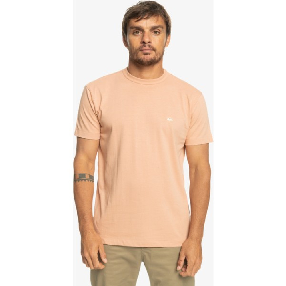 Quiksilver Essentials Erkek Pembe Bisiklet Yaka Tişört T-Shirt & Sweatshirt (Outdoor) Fiyatı