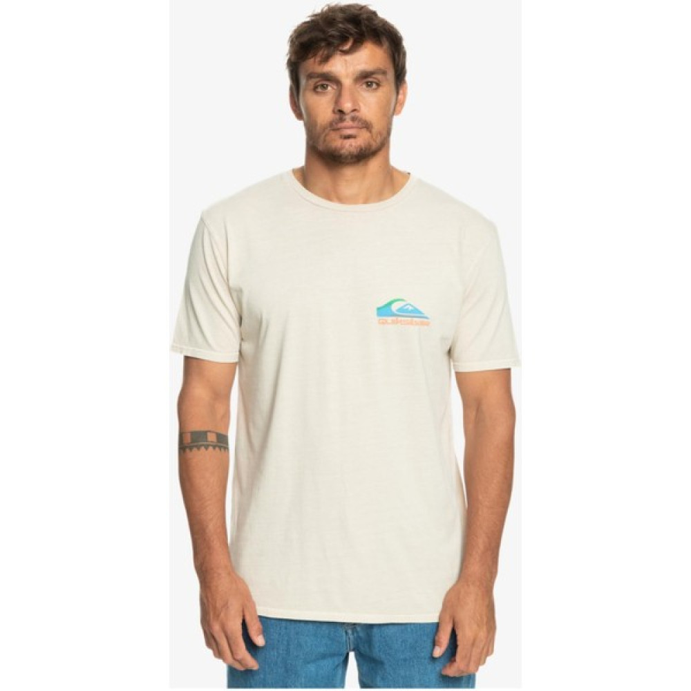 Quiksilver Pastime Paradise Erkek Çok Renkli Bisiklet Yaka Tişört Erkek T-shirt Fiyatı