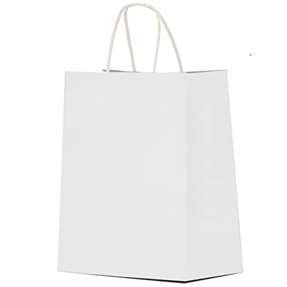 Qutuus White Gift Bags with Handles 25 pcs 8x4.5x10 White Paper Gift Bags, Medium Gift Bags, White Bags for Valentines, White Paper Bags with Handles Bulk