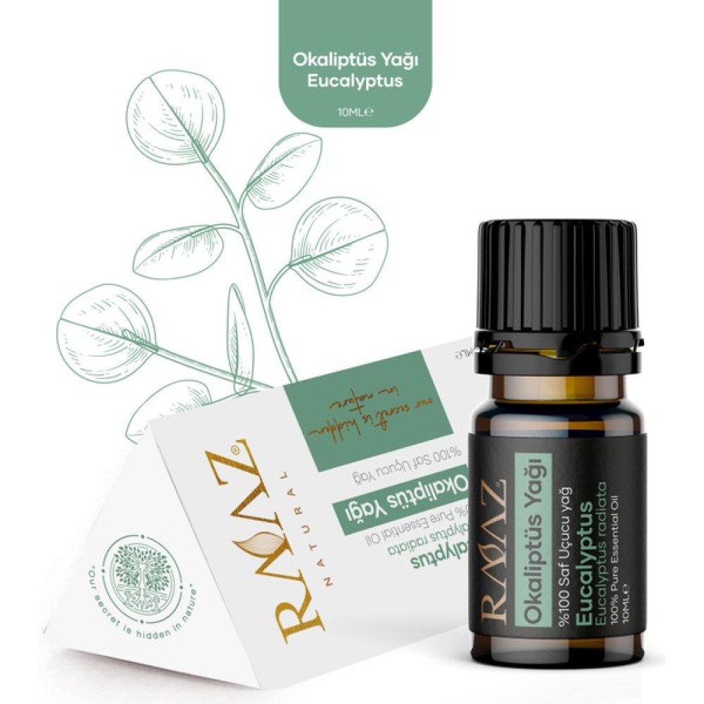 Raaz Okaliptiüs Uçucu Yağı %100 Saf Eucalyptus 10 ml Oto Boyaları Fiyatı