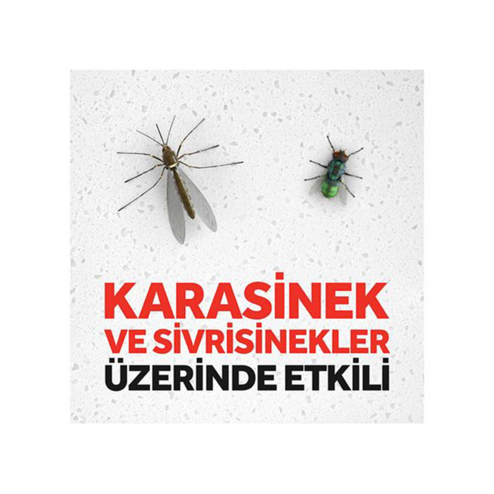 Raid Pure Sinek Öldürücü Kokusuz 300 ml