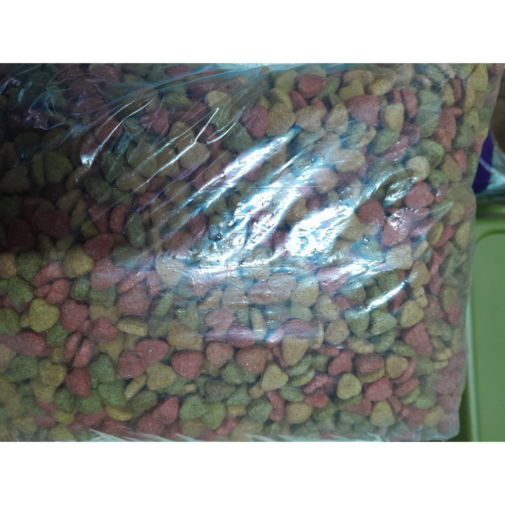 Rainbow Kedi Maması 1 kg Gurme Açık Mama Evcil Hayvan Ürünleri Fiyatı