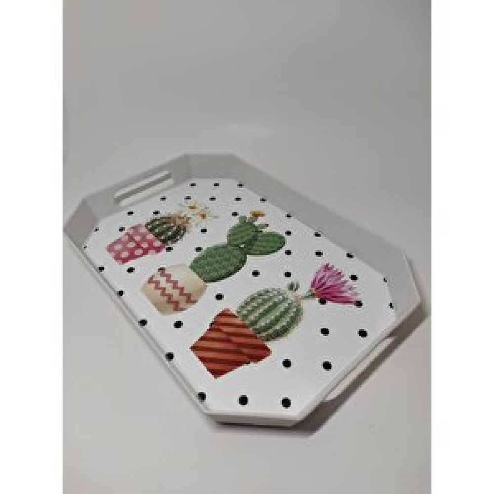 Ramdet Modern Ethnic Beyaz Renkli Kaktüs Desenli Pleksi Servis Sunum Tepsisi 33*23 Cm Çay Kahve Tepsisi Tepsiler / Fırın Kapları Fiyatı