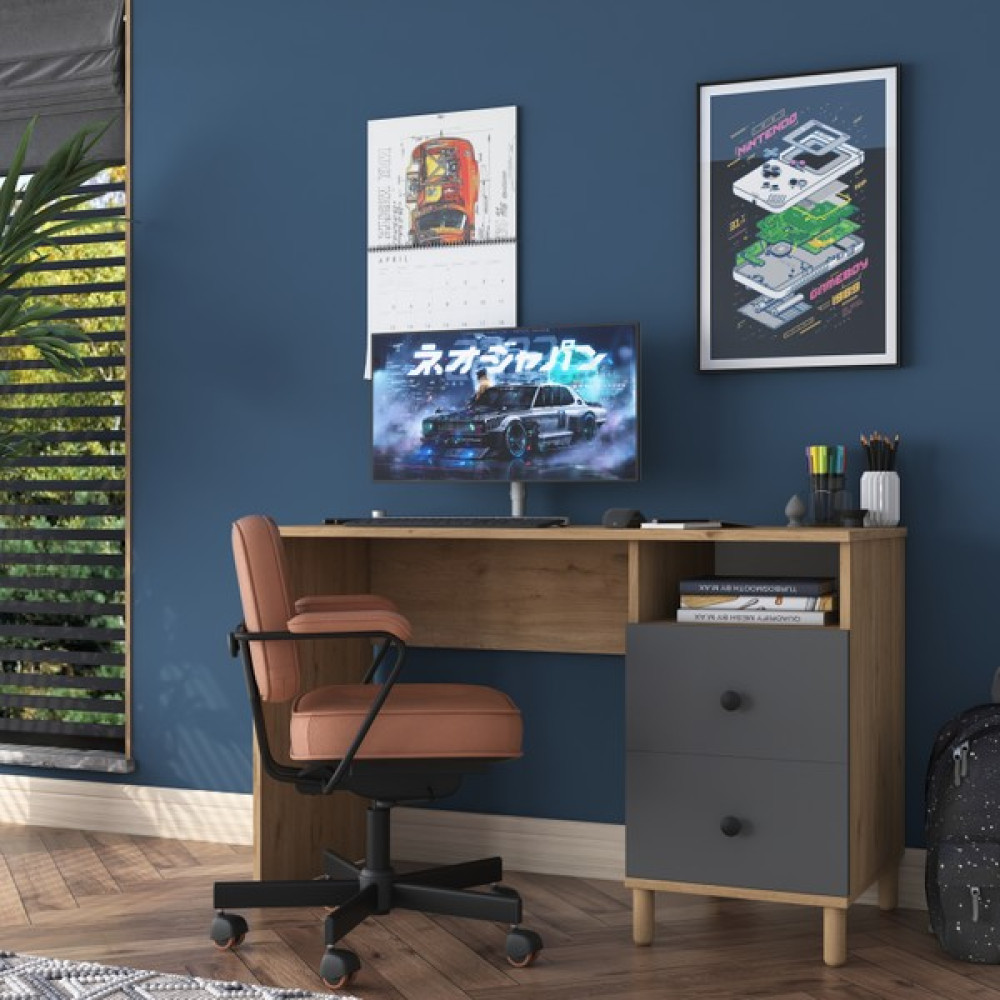 Rani HA109 Çekmeceli Çalışma Ofis Bilgisayar Masası Sepet Ceviz - Antrasit - 120 x 50 x 74 cm Çalışma Masası Fiyatı
