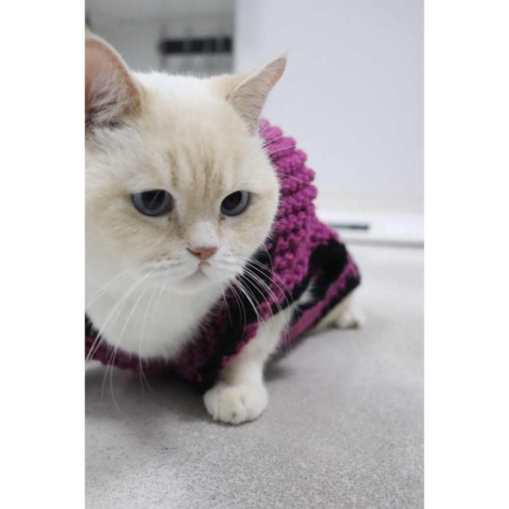 Rastbiero El Örgüsü Kedi Giysisi - Koyu Pembe - S Oto Boyaları Fiyatı