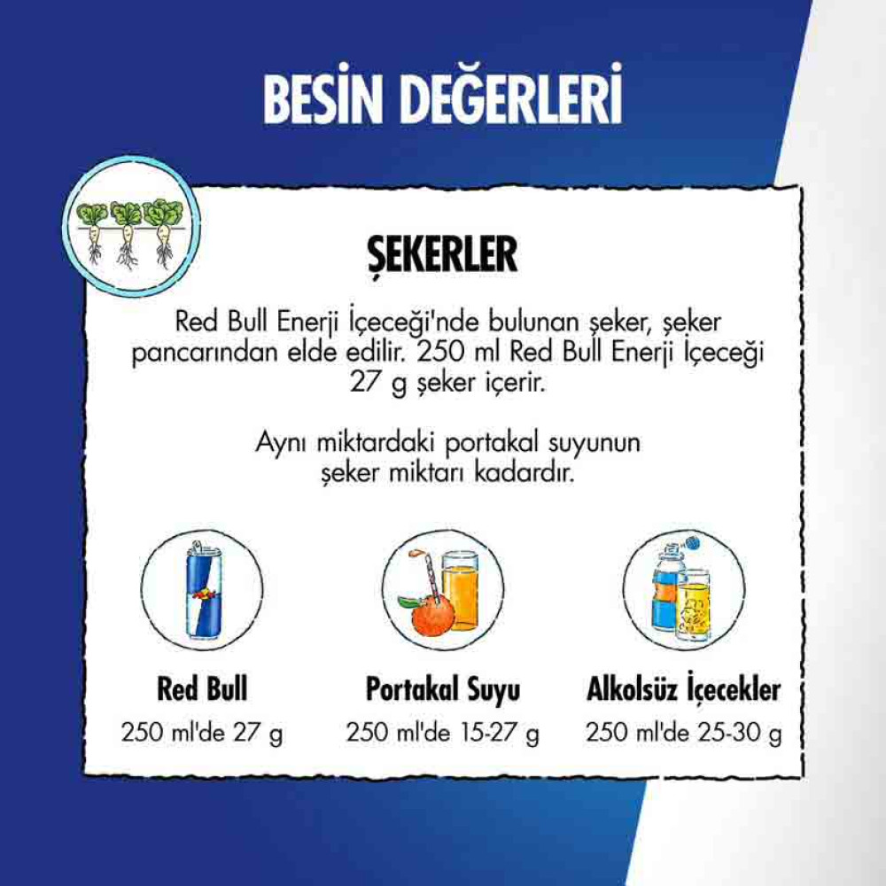 Red Bull Enerji İçeceği Hindistan Cevizi ve Açai 250 ml X 24'lü Paket