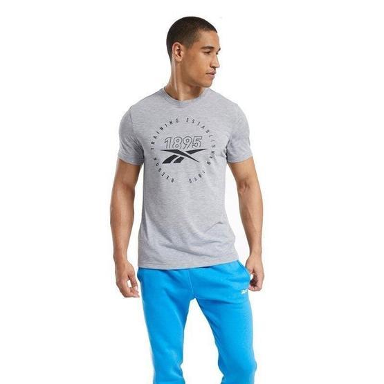 Reebok Graphic Series Speedwick Gri T-shirt