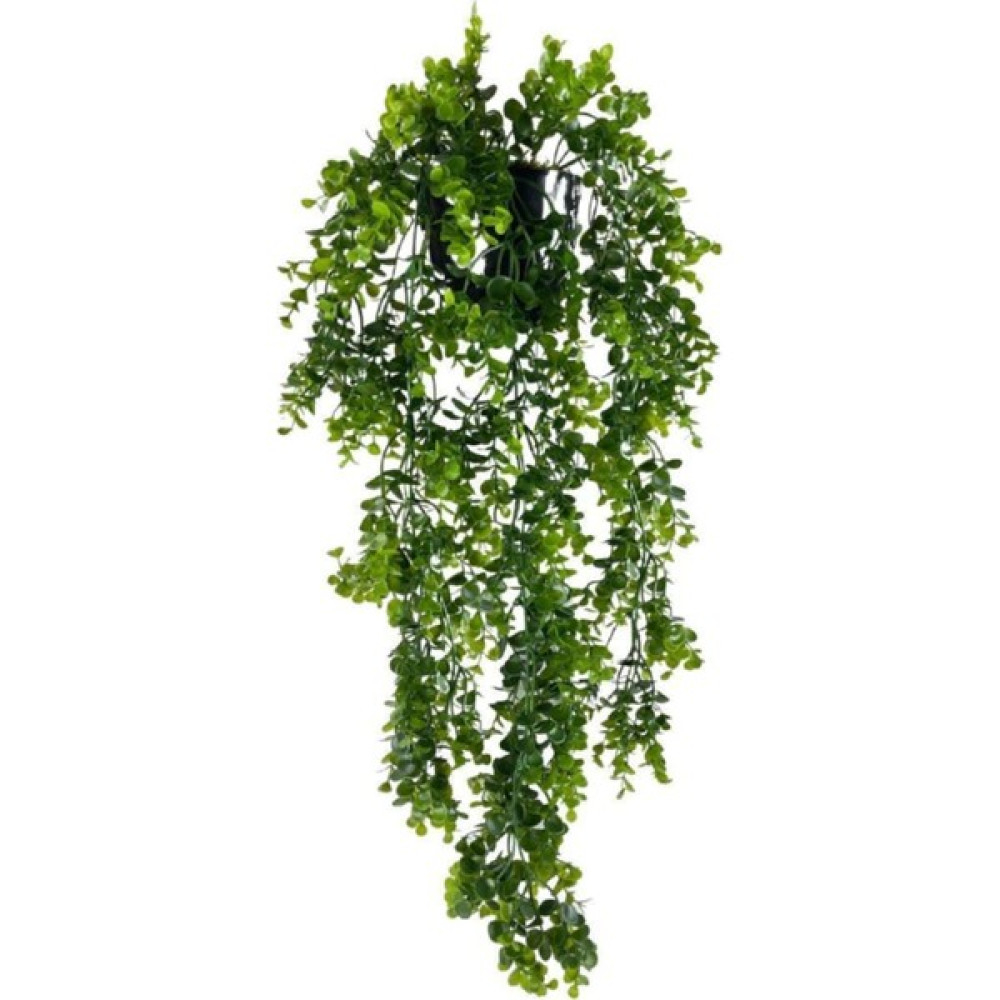 Refox Yapay Çiçek Saksıda Sarkan Şimşir Okaliptus Yapay Sarmaşık 60CM - Yeşil Ev & Dekorasyon Aksesuarları Fiyatı