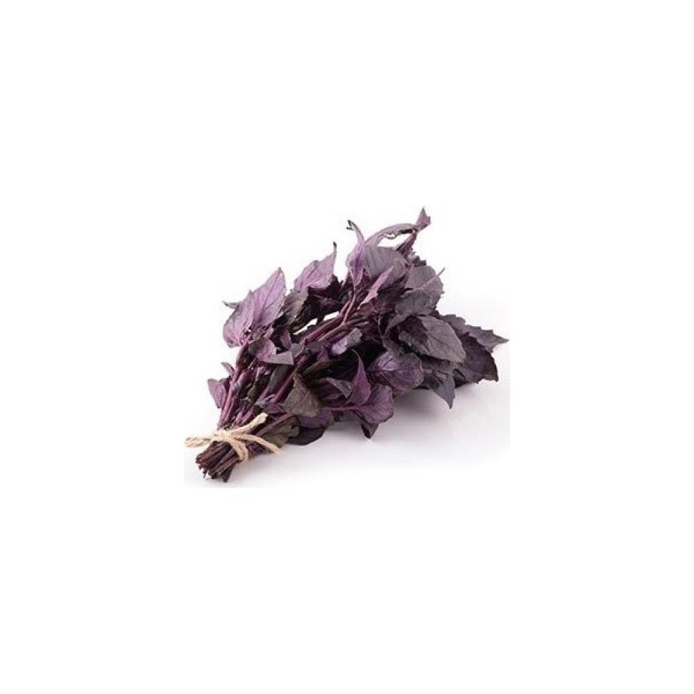 Rem Seeds Reyhan Tohumu Fesleğen Mor Renk 1 gr 1250'li - 1250 Adet Tohum Fiyatı