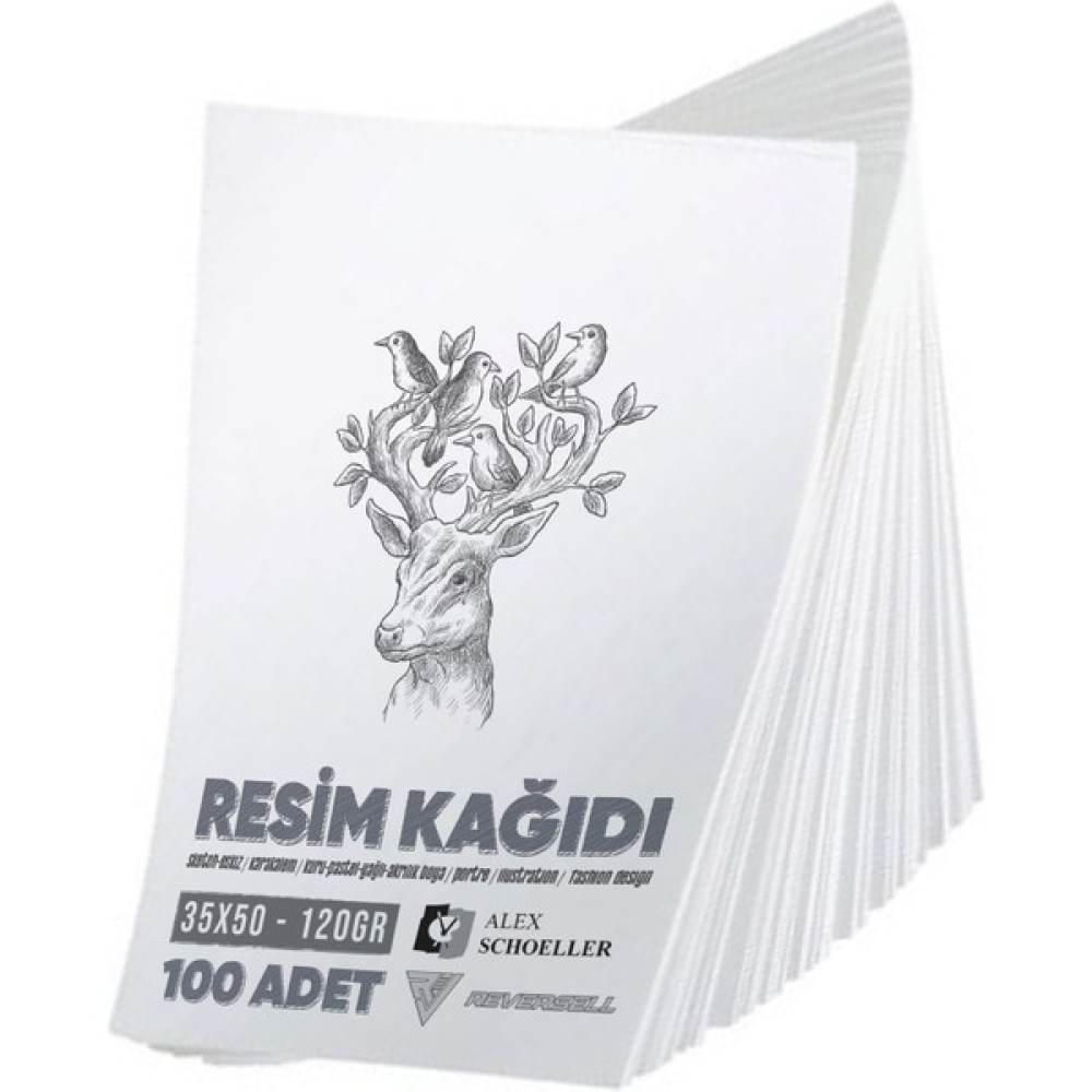 Reversell Resim Kağıdı 35X50 100 Adet 120GR - Büyük Boy Resim Defteri Eskiz Defteri Sketchbook Çizim Defteri Suluboya Kağıdı Resim Defteri Fiyatı