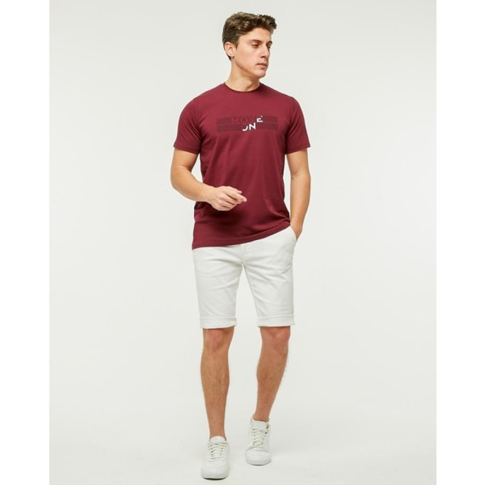 Rey Polo 71 Baskı Detaylı Bisiklet Yaka Tişört Erkek T-shirt Fiyatı