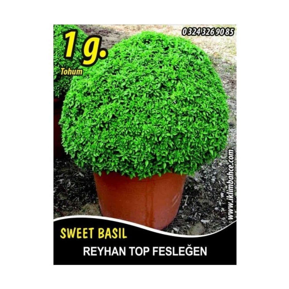 Reyhan Tohumu Top Fesleğen Sinekkanadı - 1 G Takribi 350 Tohum - 1 gr Oto Boyaları Fiyatı