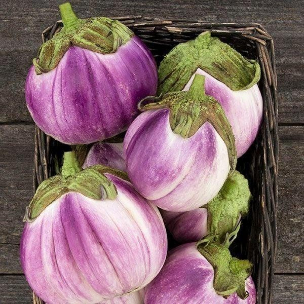 Reyon Bahçe Doğal Rosa Bianca Patlıcan Tohumu (20 Adet) - 1 gr Oto Boyaları Fiyatı