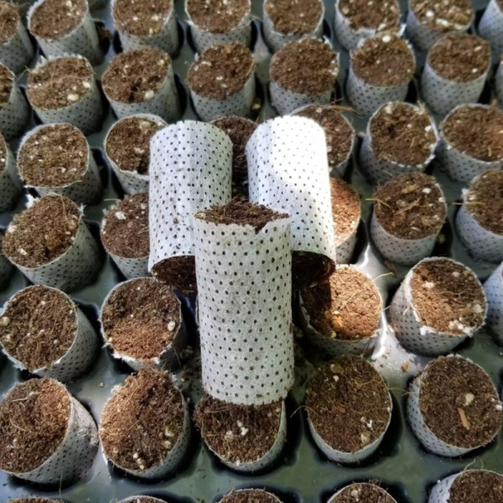 Reyon Bahçe Tohum ve Çelik Çimlendirme, Köklendirme Toprağı Paper Pot(50 Adet) - Yok Bitki Fiyatı