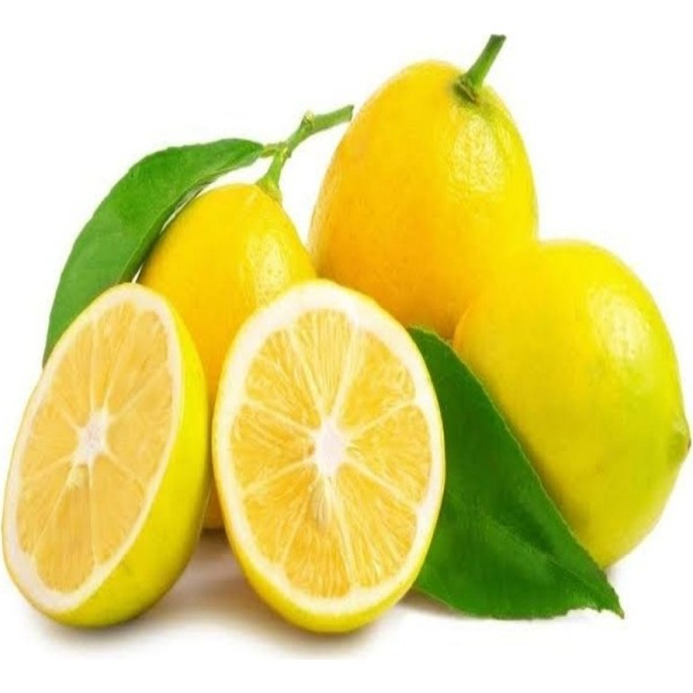 Reyon Ermenek Tüplü Aşılı Yarı Bodur Verimli Yediveren Limon Fidanı Fidan Fiyatı