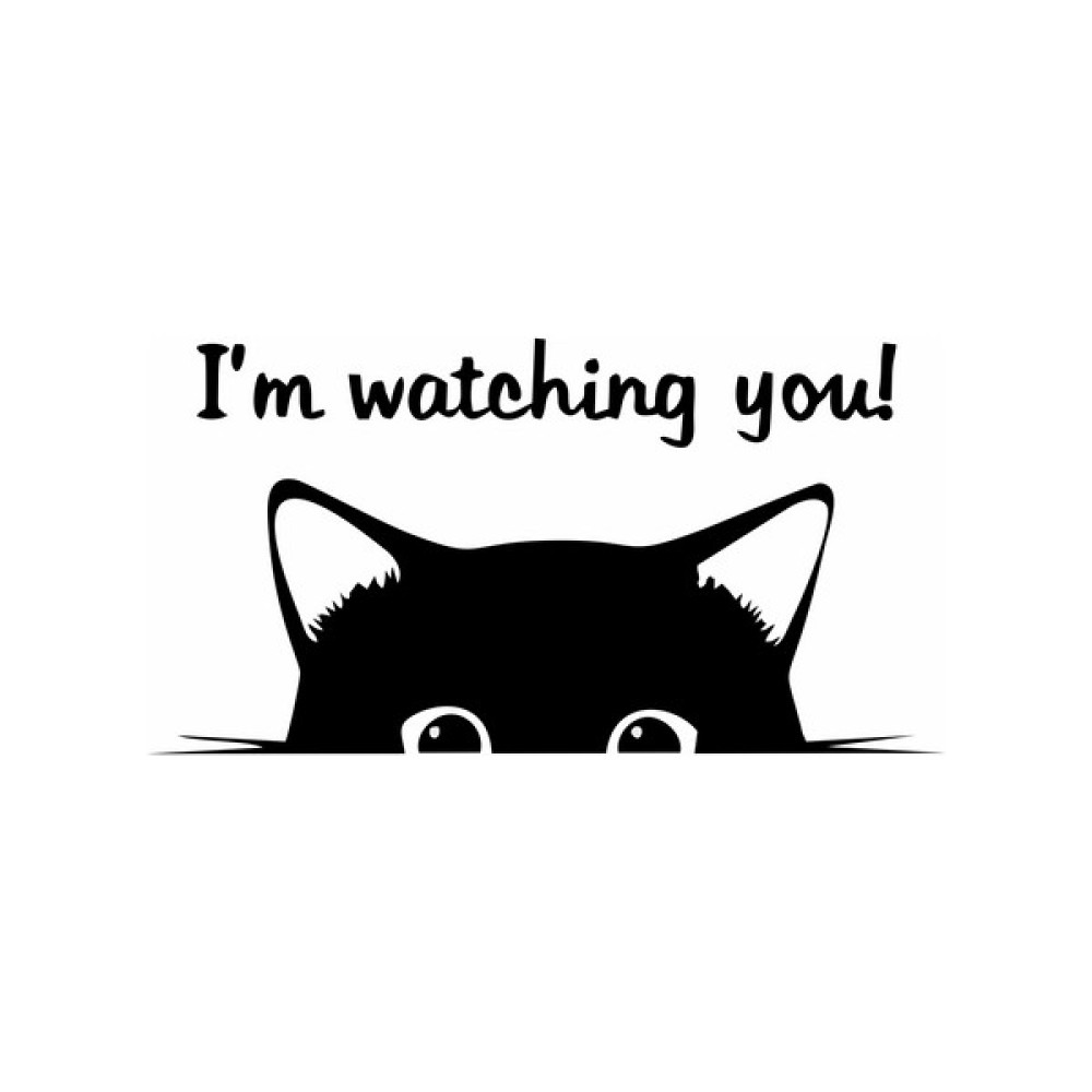 Reysa Tasarım Im Watching You Kedi Klozet Sticker Siyah 20X12 cm Duvar Stickerı Fiyatı