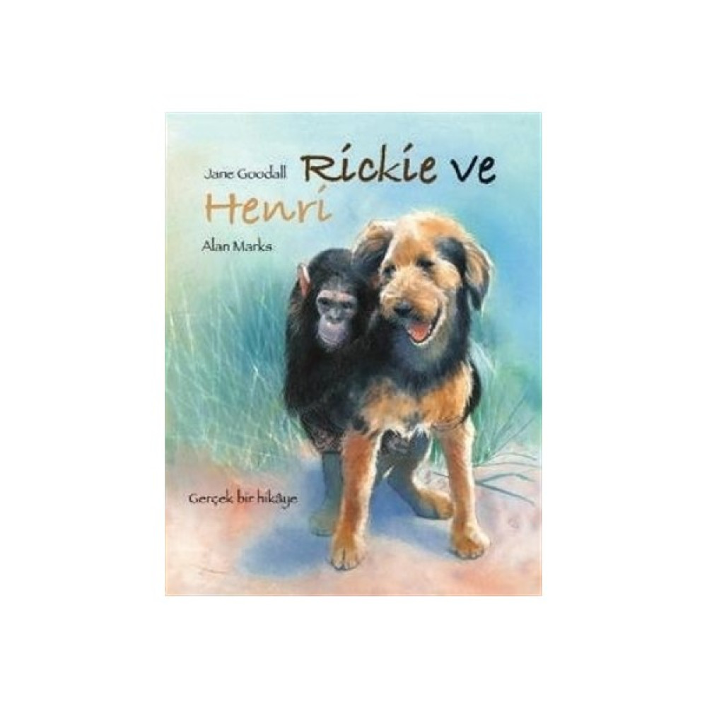 Rickie ve Henri Çocuk Öykü Fiyatı