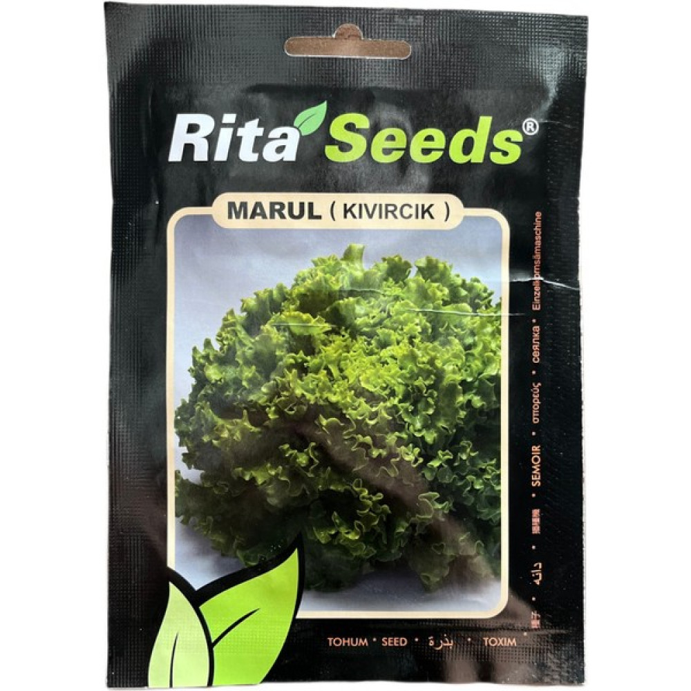 Rita Kıvırcık Marul Tohumu 5gr - 1 Adet Oto Boyaları Fiyatı