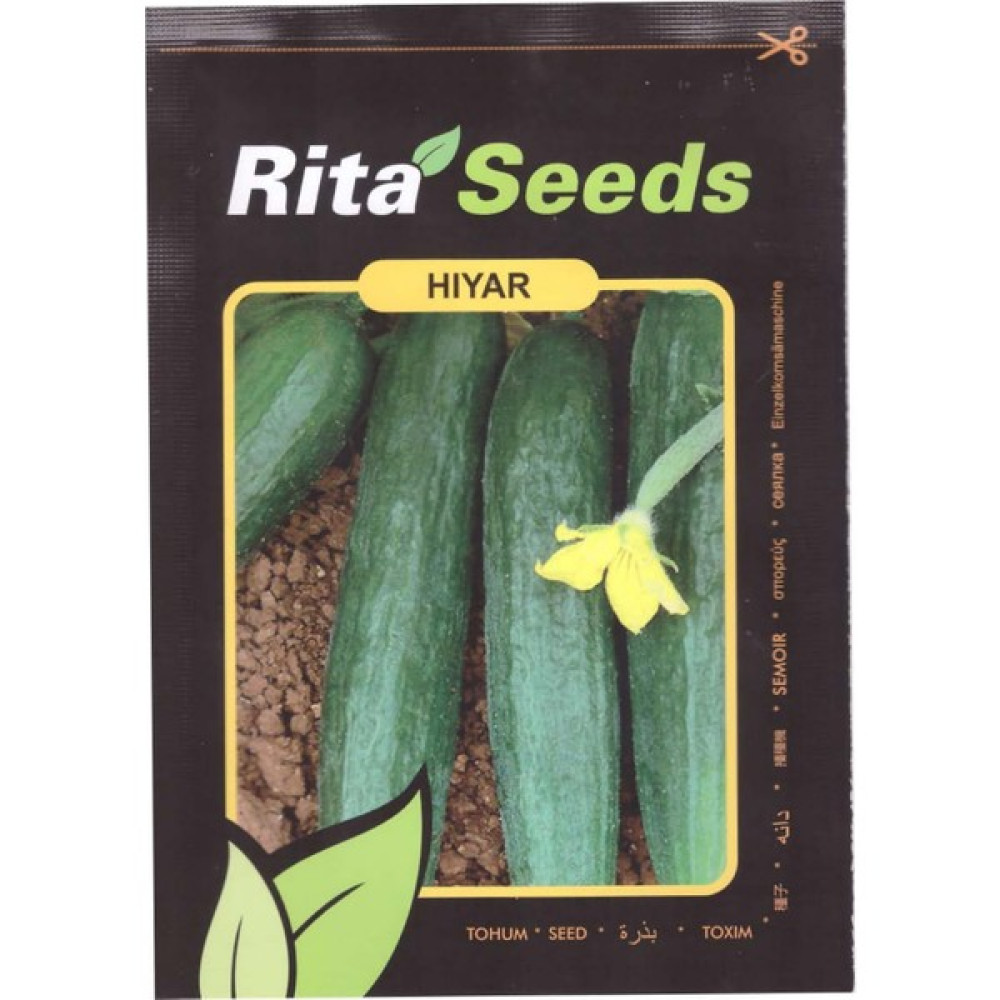 Rita Salatalık Tohumu 10 gr Oto Boyaları Fiyatı