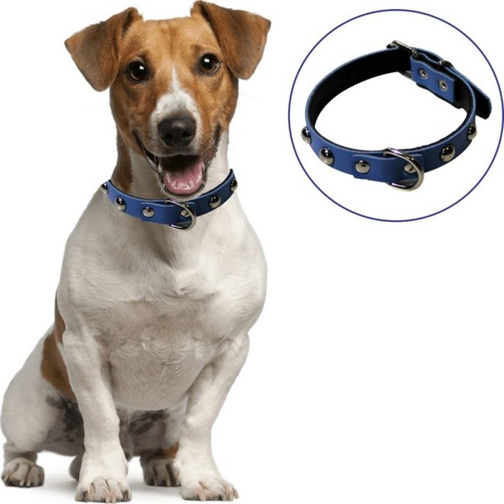 River World Yumuşak Dokulu Deri Köpek Gezdirme Boyun Tasması (Large) Evcil Hayvan Ürünleri Fiyatı
