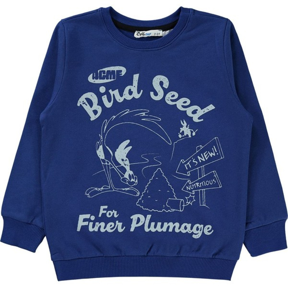 Road Runner Erkek Çocuk Sweatshirt 2-5 Yaş Saks Mavisi Erkek Çocuk Sweatshirt Fiyatı