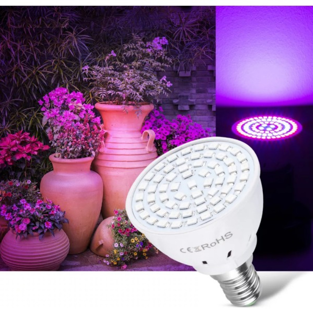 Rohs Bitki Yetiştirme Lambası (Full Spektrum - 80 Led) Bitki Fiyatı