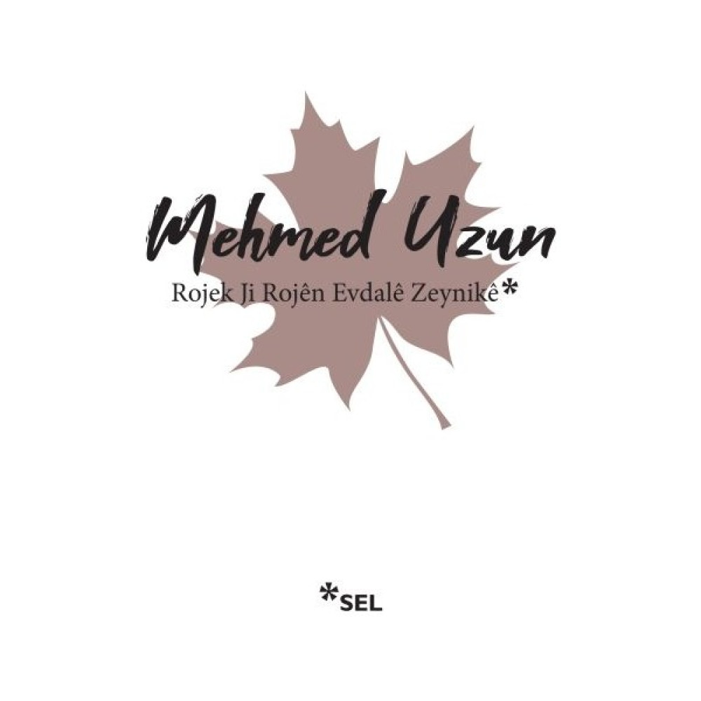 Rojek Ji Rojen Evdale Zeynike - Mehmed Uzun Macera Fiyatı